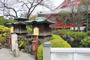 Неймовірна Японія – плануй зустріти ханамі разом з японцями