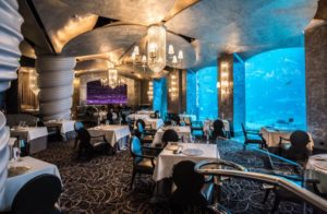Найкращі Підводні Ресторани