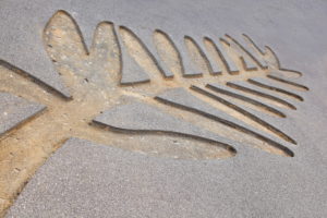 Cannes – city of sea and film festival