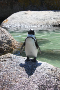 The long way to the country of penguins and breathtaking views