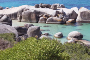 Довга дорога в країну пінгвінів та чудових краєвидів