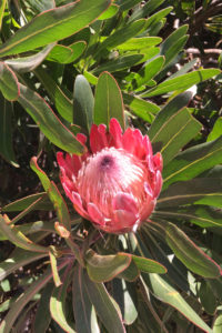 The long way to the country of penguins and breathtaking views