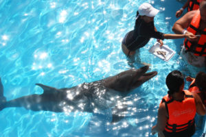 Cancun is one of the top 10 World’s resorts Cancun is one of the top 10 World’s resorts