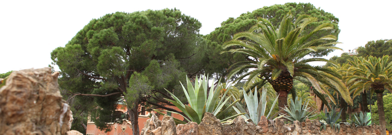 Park Güell, Barcelona