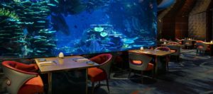 Найкращі Підводні Ресторани