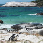 The long way to the country of penguins and breathtaking views