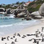 The long way to the country of penguins and breathtaking views