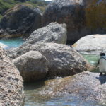 The long way to the country of penguins and breathtaking views