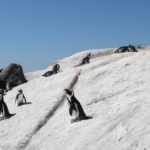 The long way to the country of penguins and breathtaking views