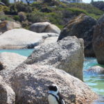 The long way to the country of penguins and breathtaking views