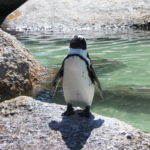 The long way to the country of penguins and breathtaking views