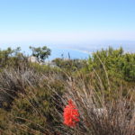 The long way to the country of penguins and breathtaking views