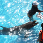 Cancun is one of the top 10 World’s resorts